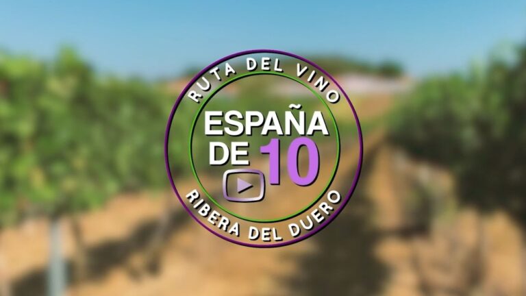 Descubre las fascinantes rutas del vino en Ribera del Duero