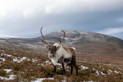 senderismo en Cairngorms